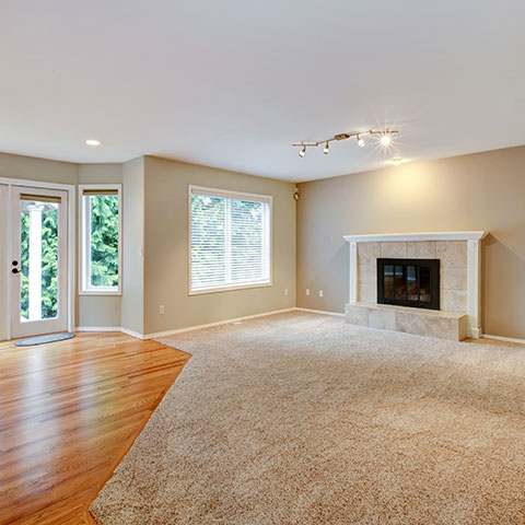 move in/out cleaning